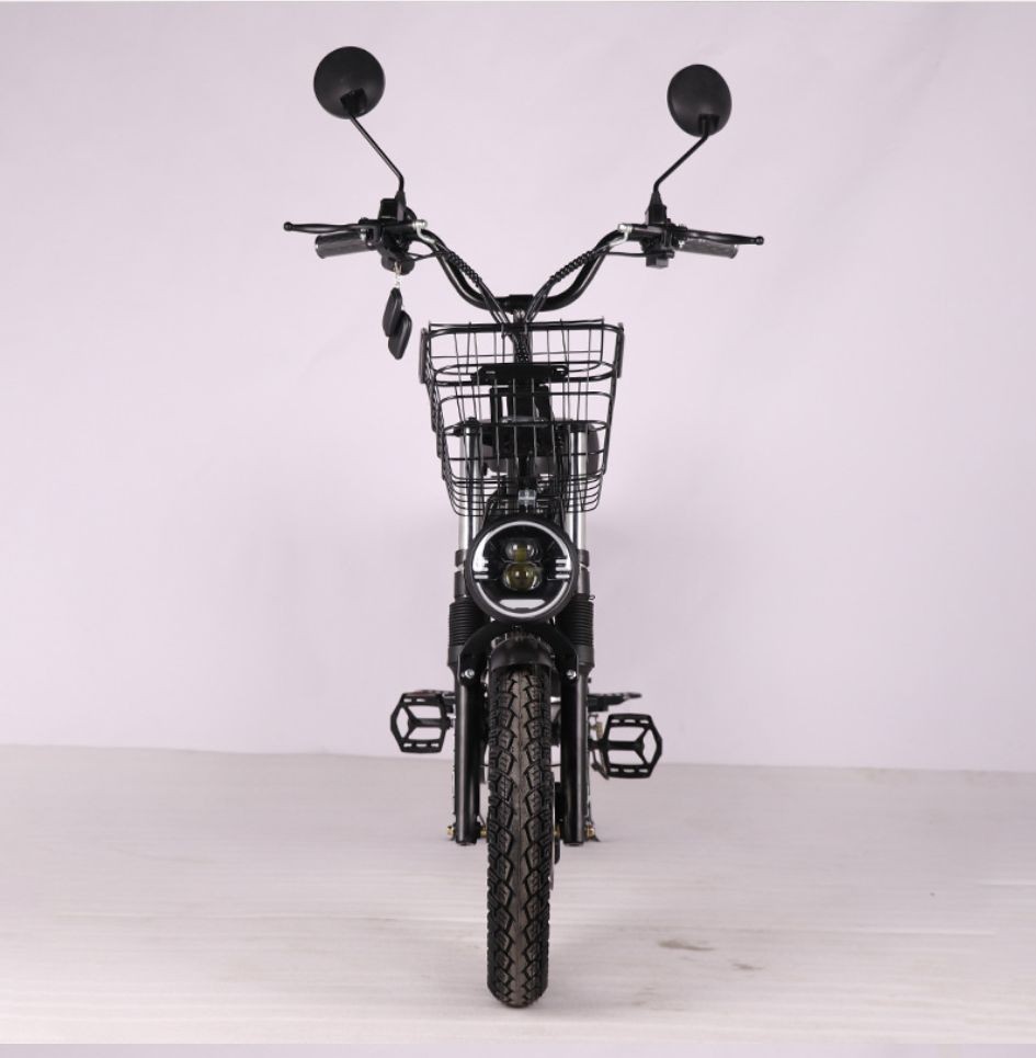Electric Cargo Bikes For Families price