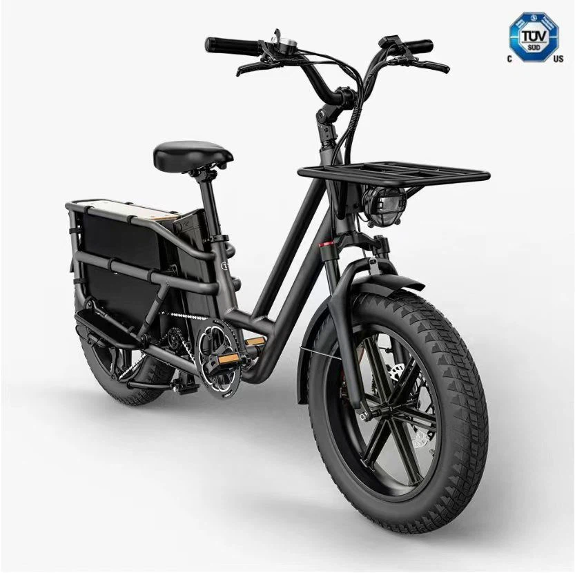 Family-friendly Cargo Ebike